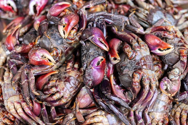 i-cibi-pi-contaminati-al-supermercato